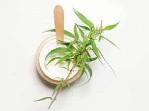 Crème CBD | Cosmétique cannabidiol