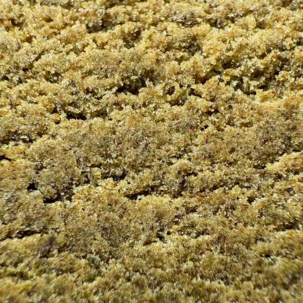 Grossiste resines CBD - 3x Filtre CBD France