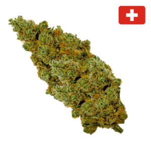 achat fleur amnesia haze CBD