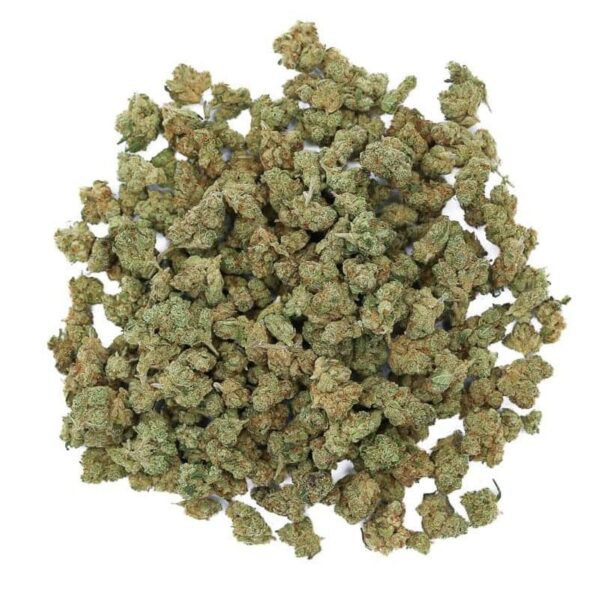 Amnesia Haze CBD - Small Bud CBD - Indoor-Hydro