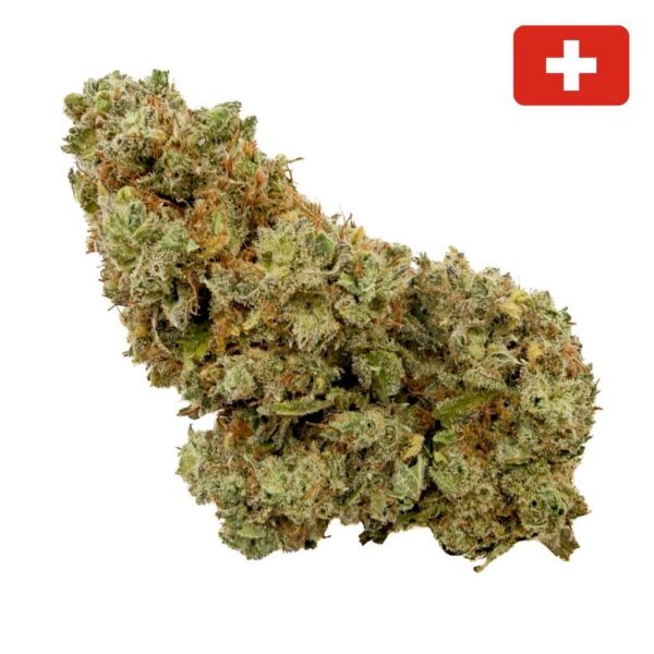 achat fleur Charlotte’s Angel CBD Indoor-Hydro