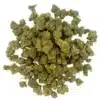 AK 47 CBD Small Buds - Glass-House 2 Small Buds CBD en Glass-House