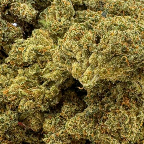 achat fleur THCX amnesia haze