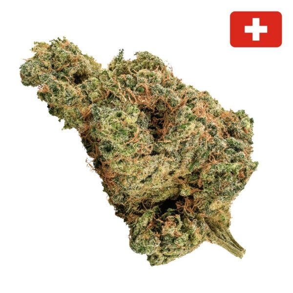 Achat Fleur thcx charlotte angel