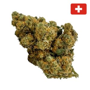 achat fleur THCX amnesia haze