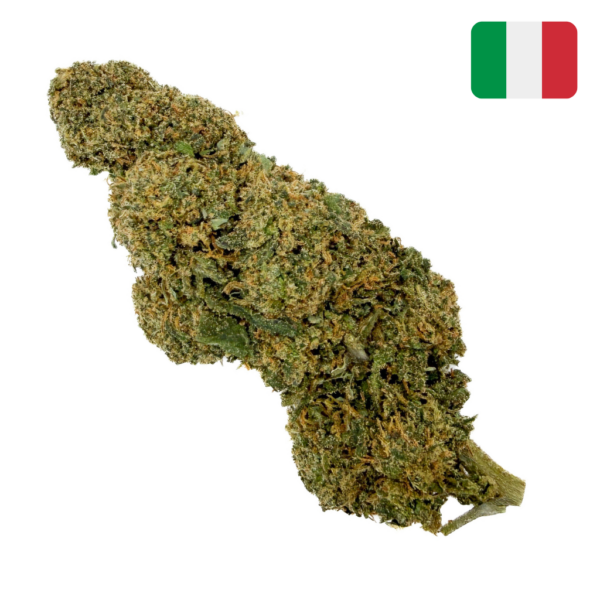 achat fleur CBD zkittlez