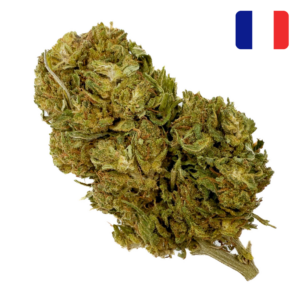 achat fleur jack herer CBD green house
