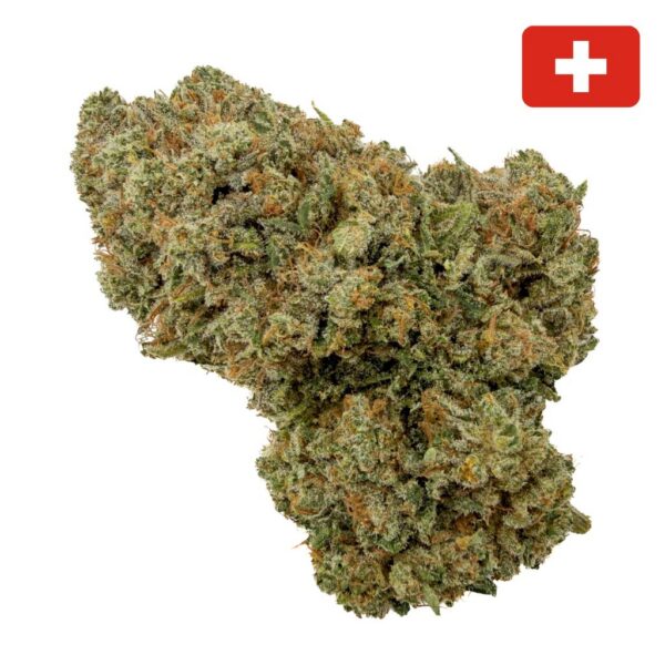 Fleur THCX Critical Indoor Hydro Big Bud