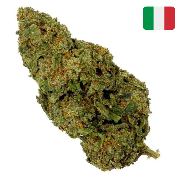 Berry Cheese THCX 30% - Glass-House