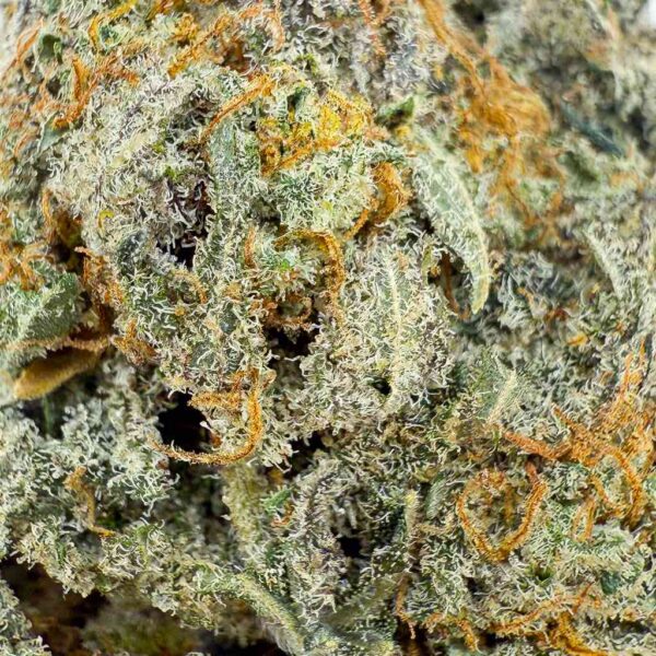 achat fleur ButterCream Gelato CBD Big Bud Indoor Cali