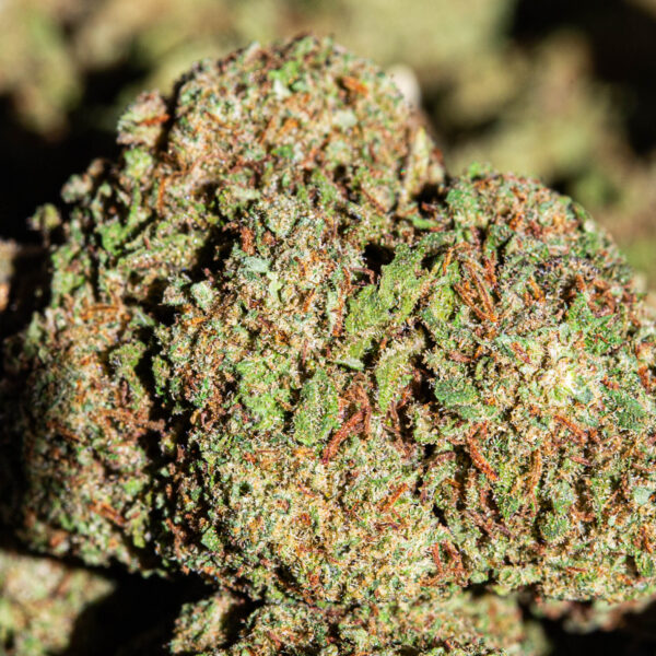 achat fleur CBD berry cheese