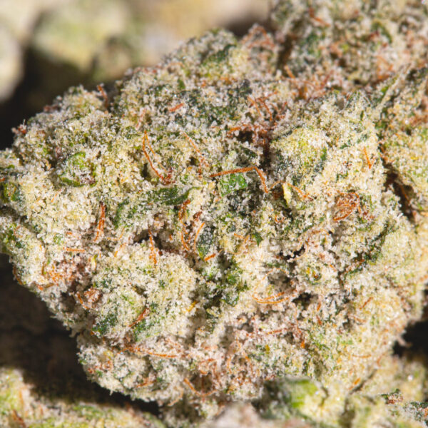 achat fleur CBD charlotte angels crystal