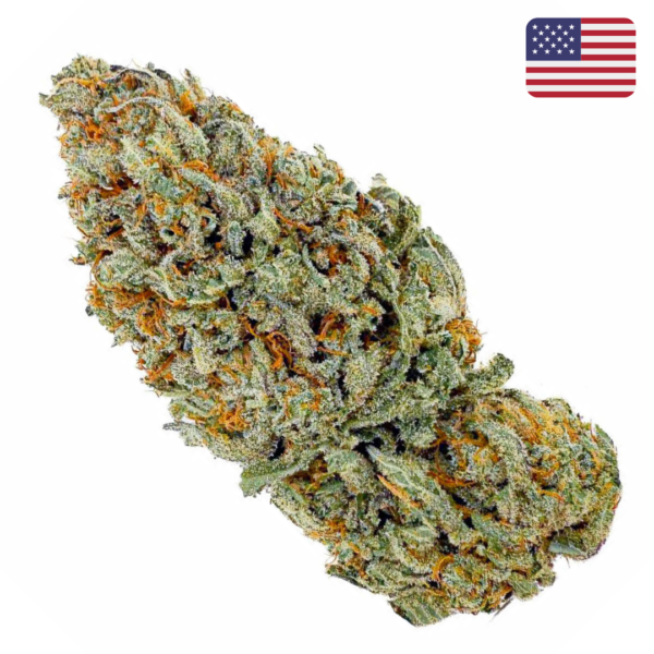 achat fleur sour diesel CBD indoor cali