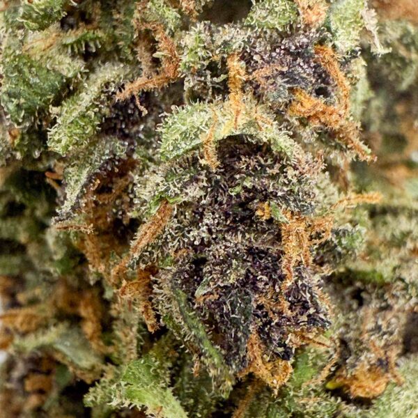 Achat fleur cbd Purple Kush