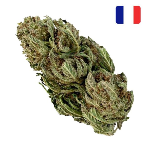 Achat Fleur Tangie Candy CBD