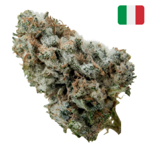 Berry Cheese THCX 30% Crystal Glass-House