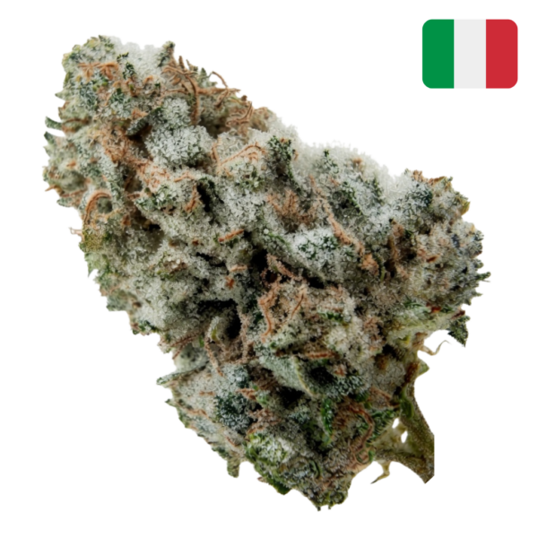 Berry Cheese THCX 30% Crystal Glass-House