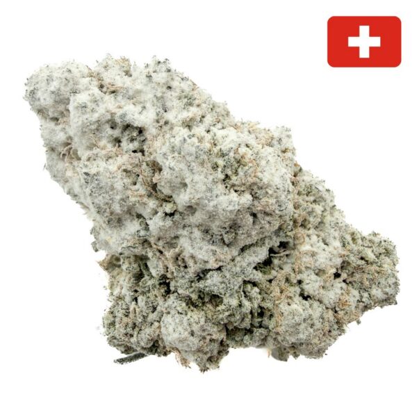 Achat pas cher Fleur Critical+ 2.0 THCX CBD crystal Indoor-Hydro