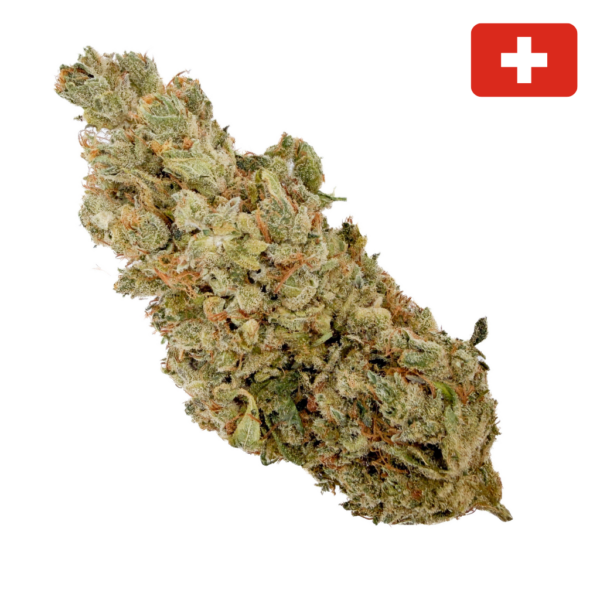 achat fleur THCX gorilla kush indoor hydro