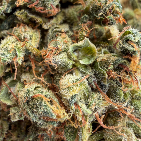achat fleur THCX gorilla Kush