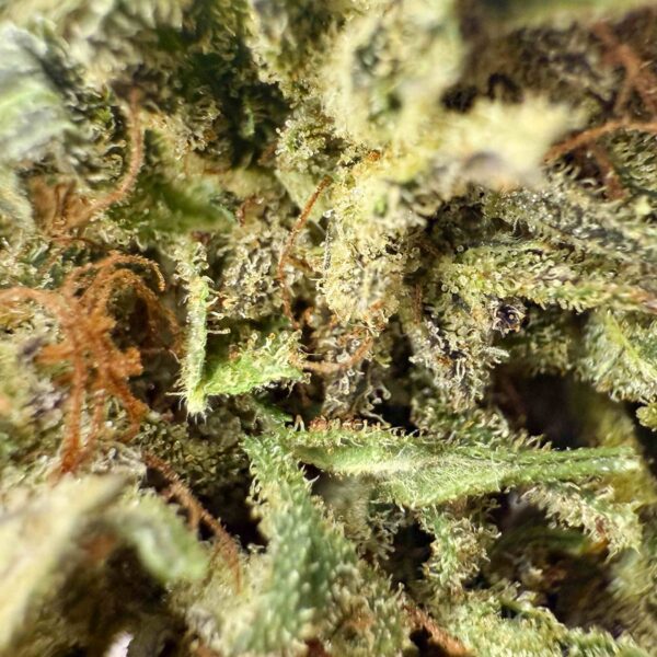 Achat Fleur CBD Tangie Candy