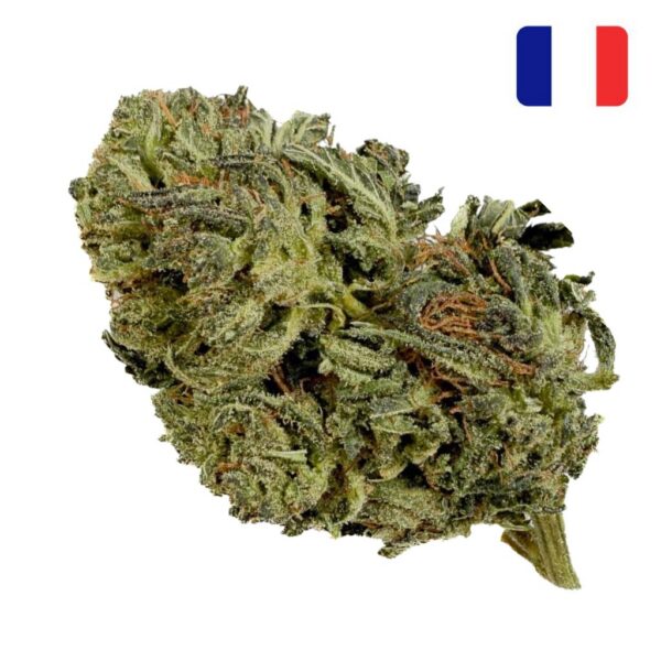 Achat Fleur THCX Tangie Candy THCX Green-House