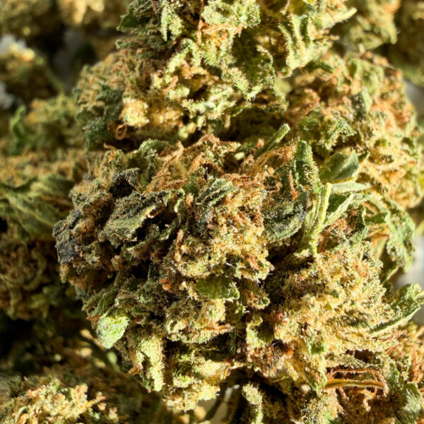 achat fleur CBD Lifter