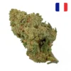 Lifter CBD - Bud Mix - Glass-House 5 achat fleur CBD Lifter Bud Mix Glass House