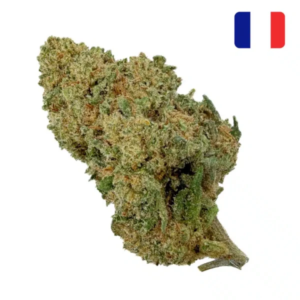 achat fleur CBD Lifter Bud Mix Glass House