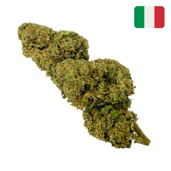achat fleur fruit cake CBD