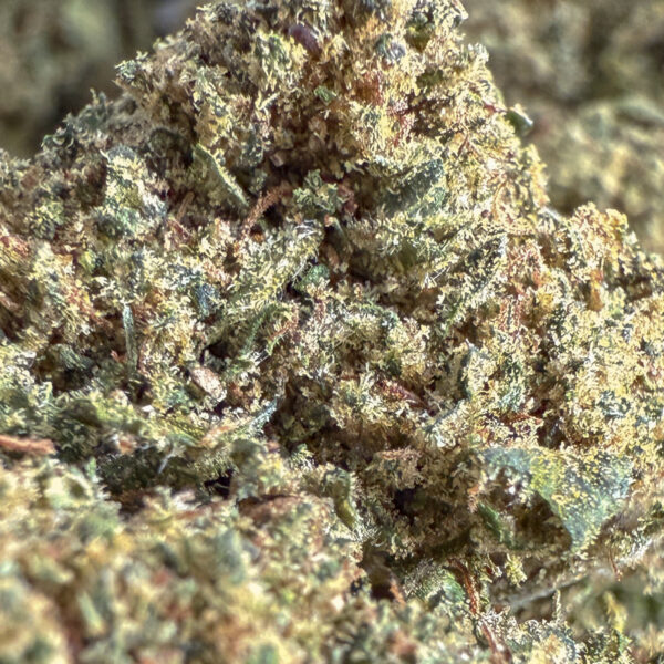 achat fleur CBD fruit cake