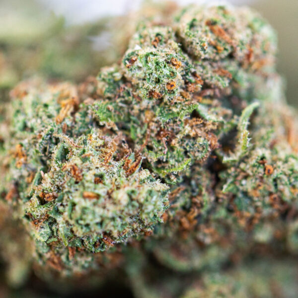 achat fleur CBD zkittlez