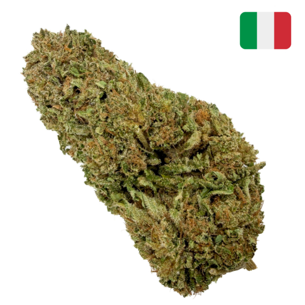 achat fleur CBD zushi