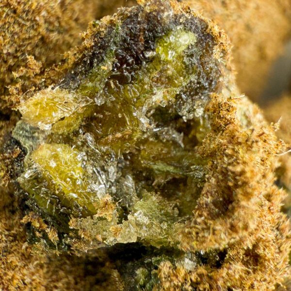 achat fleur CBN Moon Rock