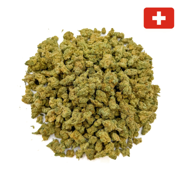 achat fleur THCX amnesia small bud