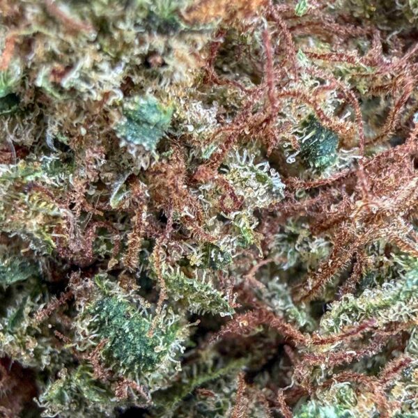 Achat fleur CBD Lemon Tree CBD