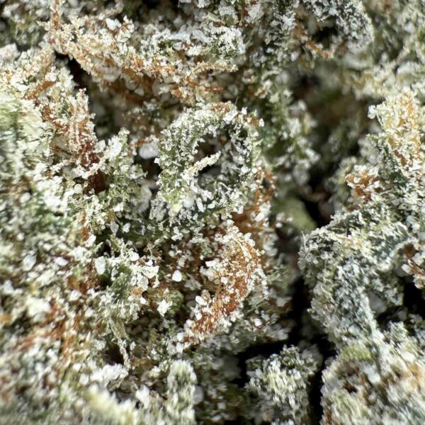 achat fleur THCX Amnesia Haze crystal