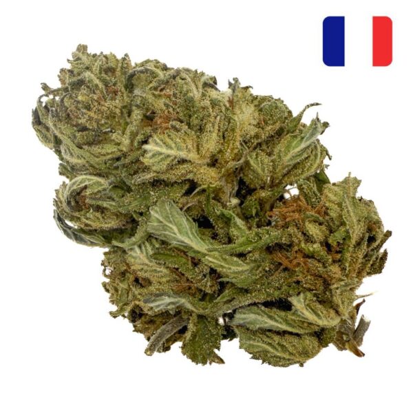 Achat Fleur CBD Cheese Bud-Mix Green-House