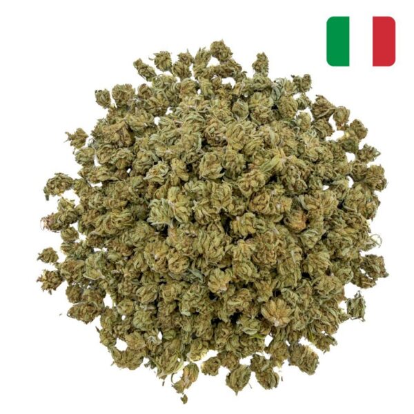 Achat-Fleur-CBD-Mandarine-CBD-Mini-Bud-Green-House