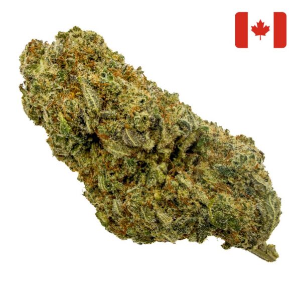 Achat meilleure Fleur CBD Sunset Sherbet