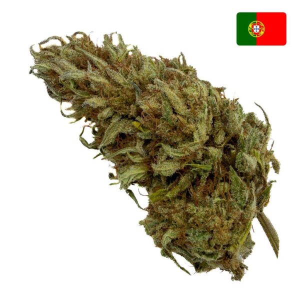 Achat fleur CBD super lemon haze