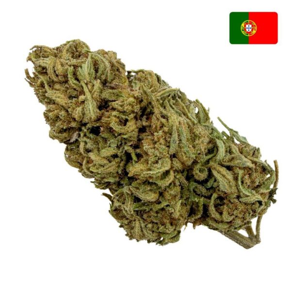 Achat fleur watermelon CBD green-house