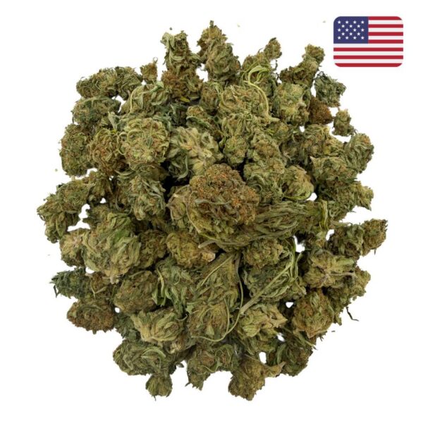 Beetle Juice CBD - Small Bud - Glass-House Cali