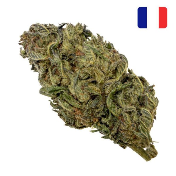 Achat Fleur Cheese THCX