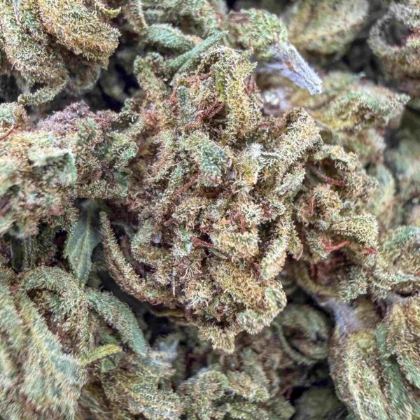 Grosssite-Fleur-CBD-Mandarine-CBD-Mini-Bud-Green-House