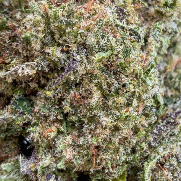 Alternative view of Acapulco Gold CBD - Indoor Française