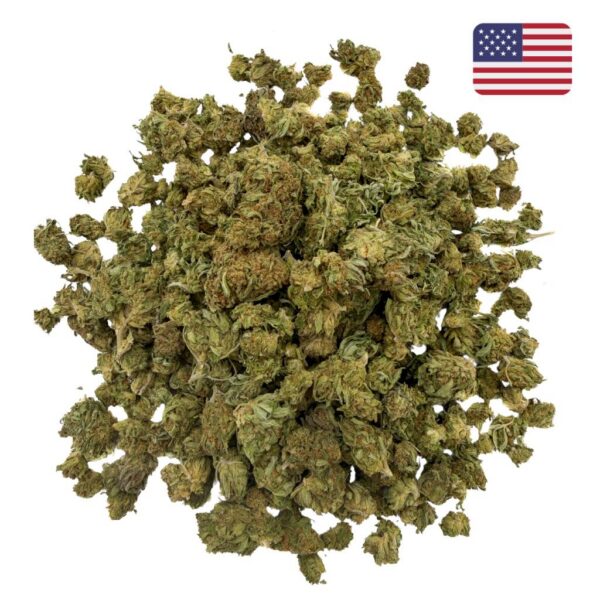Great White Shark CBD - Small Bud - Glass-House Cali