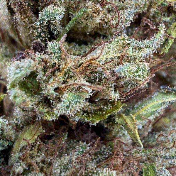 Achat fleur CBD super lemon haze
