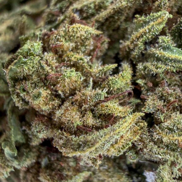 Achat fleur CBD watermelon green-house