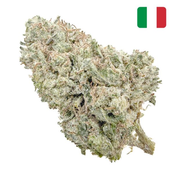 Achat Fleur THCX Crystal Biscotti Bud Mix Glass-House